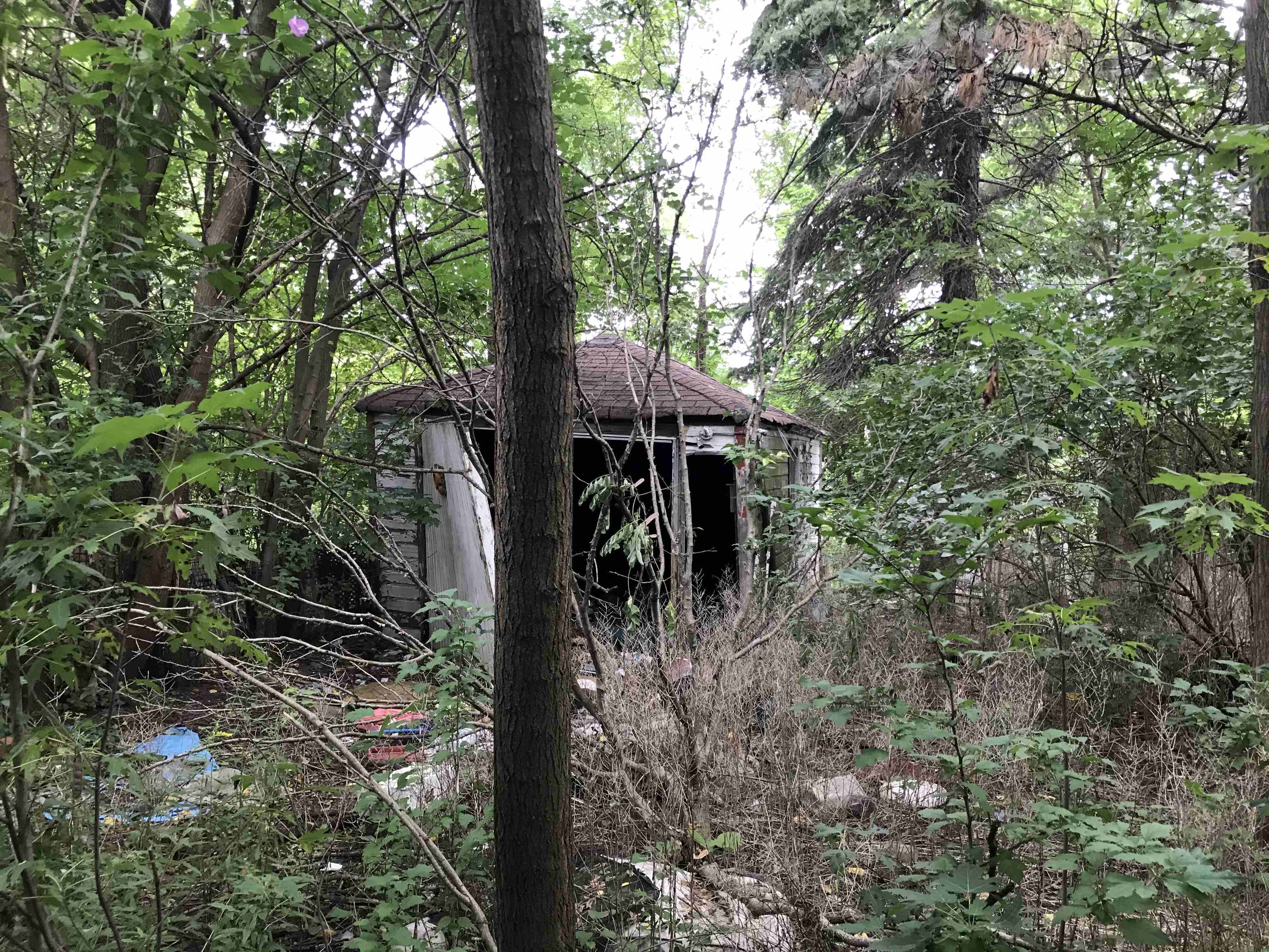 Photo Sep 10, 12 49 10 PM.jpg